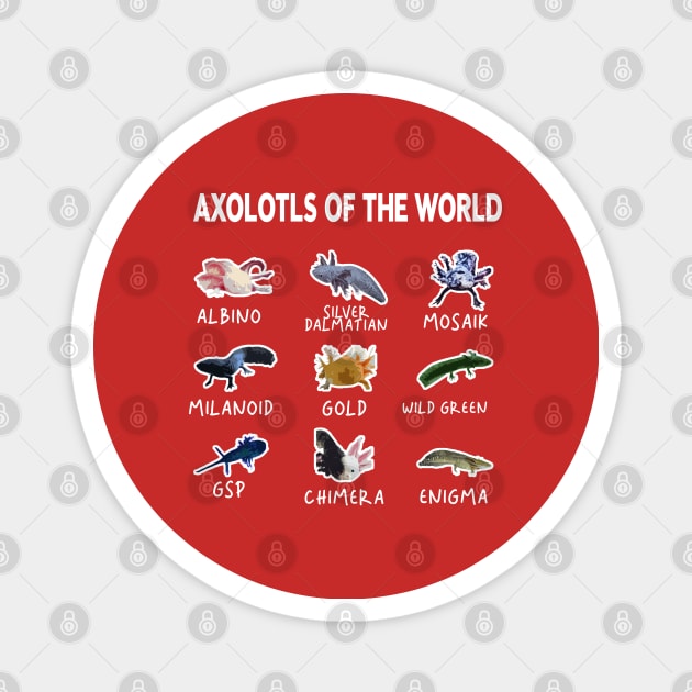 axolotls of the world funny Magnet by NelsonPR